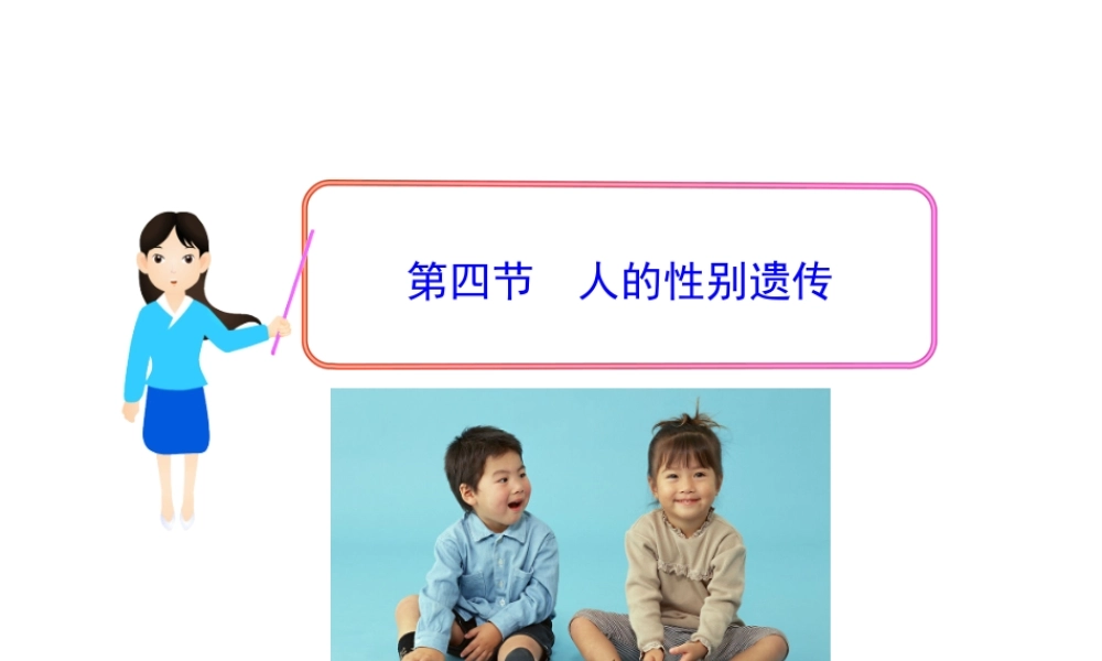 八年级生物下册 第7单元 第二章 第四节 人的性别遗传课件 新人教版