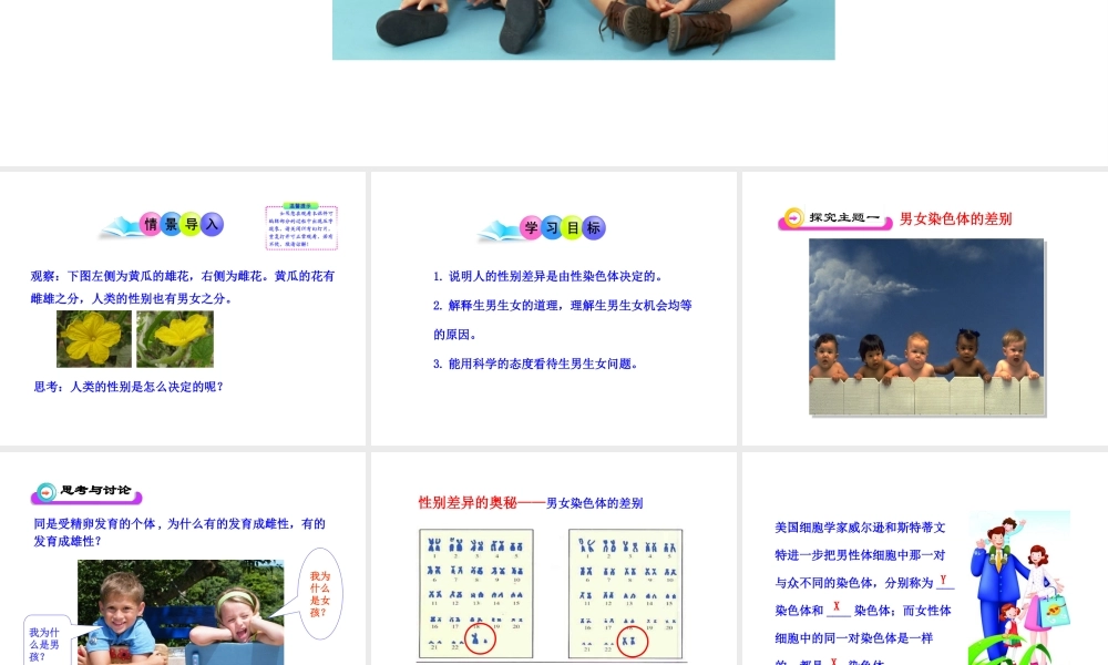 八年级生物下册 第7单元 第二章 第四节 人的性别遗传课件 新人教版
