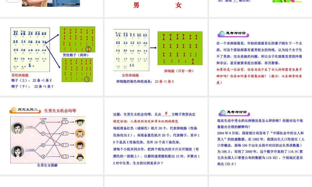 八年级生物下册 第7单元 第二章 第四节 人的性别遗传课件 新人教版