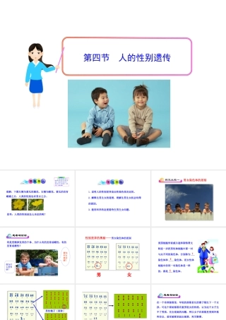 八年级生物下册 第7单元 第二章 第四节 人的性别遗传课件 新人教版