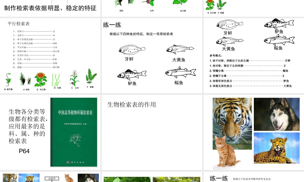 八年级生物下册 第4章 生物的类群 4.4 生物的分类-分类检索表课件 沪教版-沪教级下册生物课件
