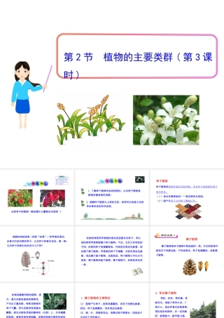 八年级生物下册 第22章 第2节 植物的主要类群（第3课时）课件 北师大版