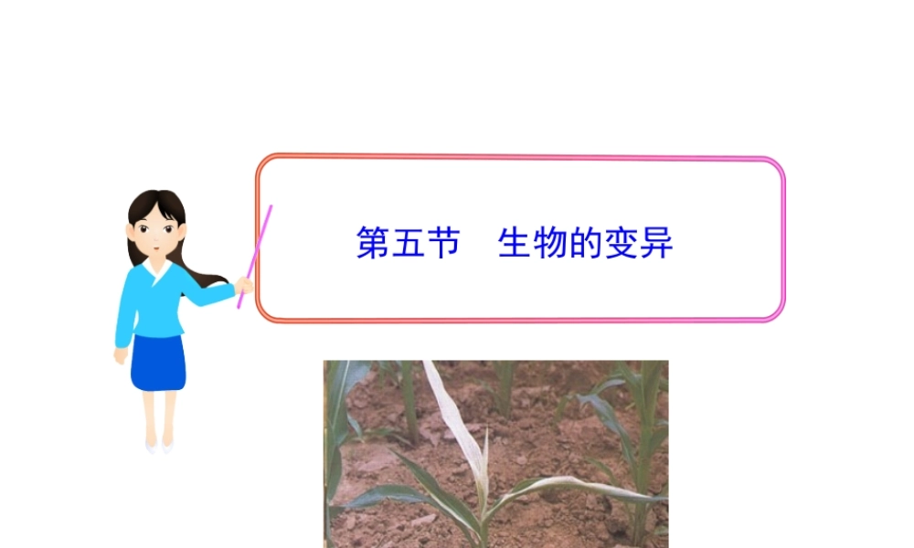 八年级生物下册 第7单元 第二章 第五节 生物的变异课件 新人教版