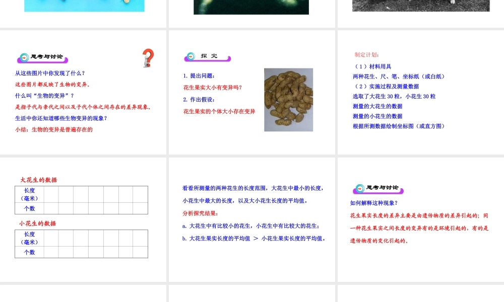 八年级生物下册 第7单元 第二章 第五节 生物的变异课件 新人教版