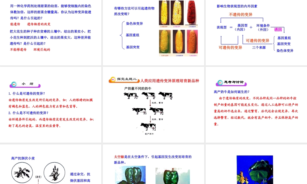 八年级生物下册 第7单元 第二章 第五节 生物的变异课件 新人教版