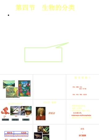 八年级生物下册 第4章 生物的类群 4.4 生物的分类—物种的命名课件 沪教版-沪教版初中八年级下册生物课件