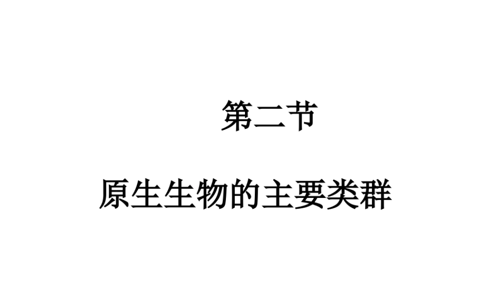 八年级生物下册 第22章 第2节《原生生物的主要类群》课件 （新版）北师大版
