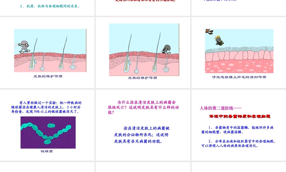 八年级生物下册 第八单元 第一章 第二节 免疫与计划免疫课件1 新人教版