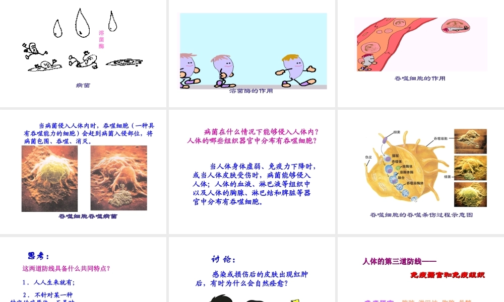 八年级生物下册 第八单元 第一章 第二节 免疫与计划免疫课件1 新人教版