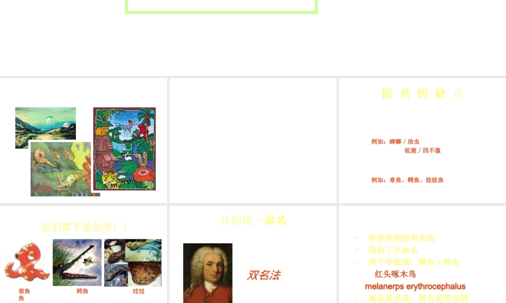 八年级生物下册 第4章 生物的类群 4.4 生物的分类-物种的命名课件 沪教版-沪教级下册生物课件