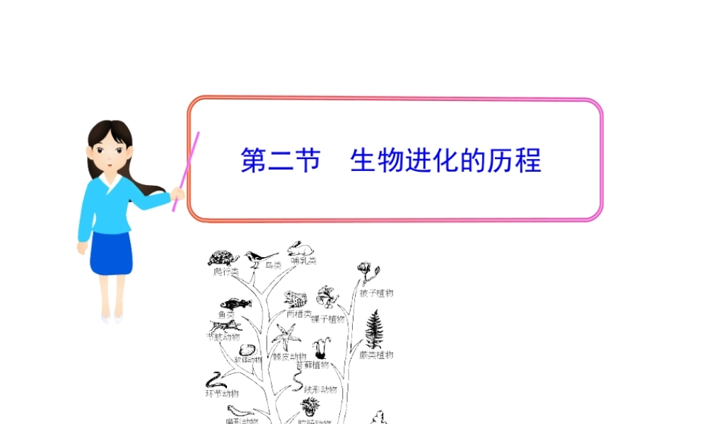 八年级生物下册 第7单元 第三章 第二节 生物进化的历程课件 新人教版