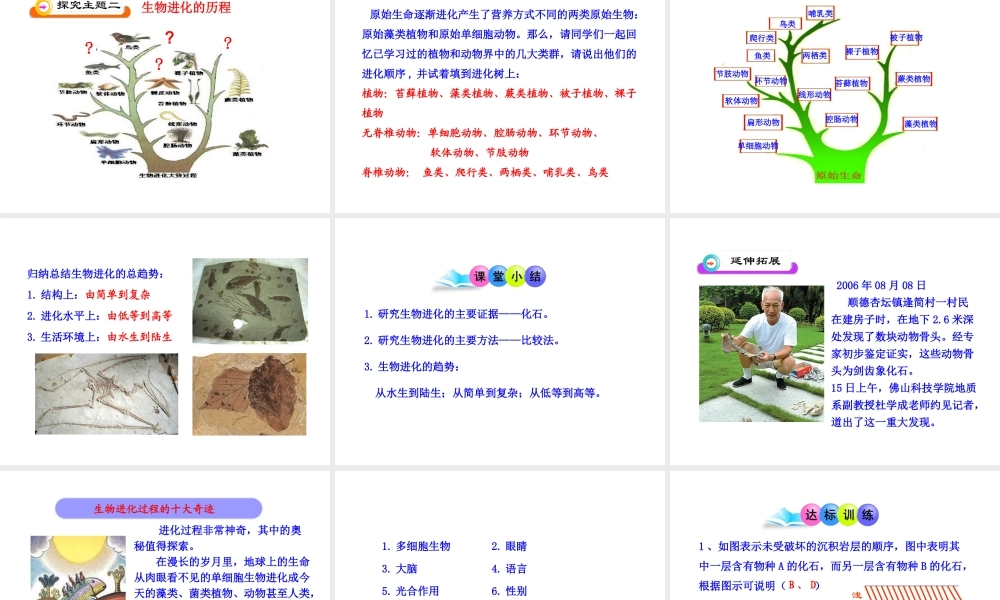 八年级生物下册 第7单元 第三章 第二节 生物进化的历程课件 新人教版