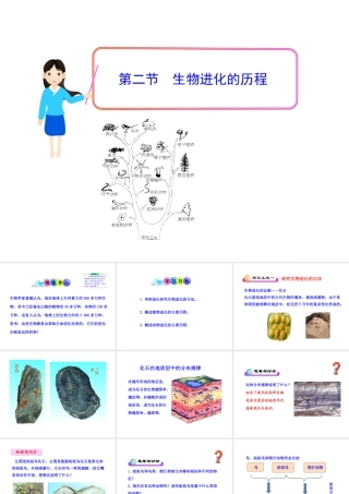 八年级生物下册 第7单元 第三章 第二节 生物进化的历程课件 新人教版