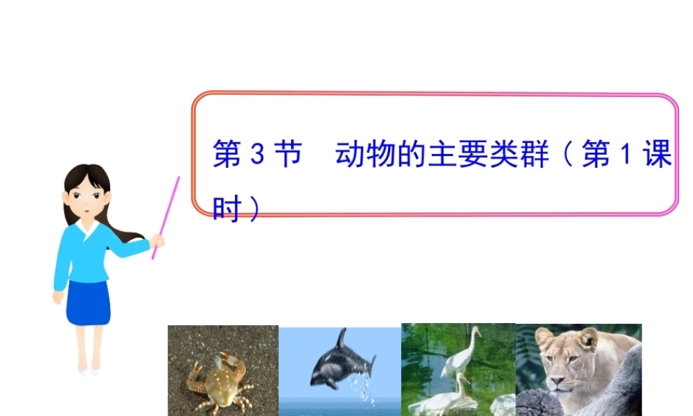 八年级生物下册 第22章 第3节 动物的主要类群（第1课时）课件 北师大版