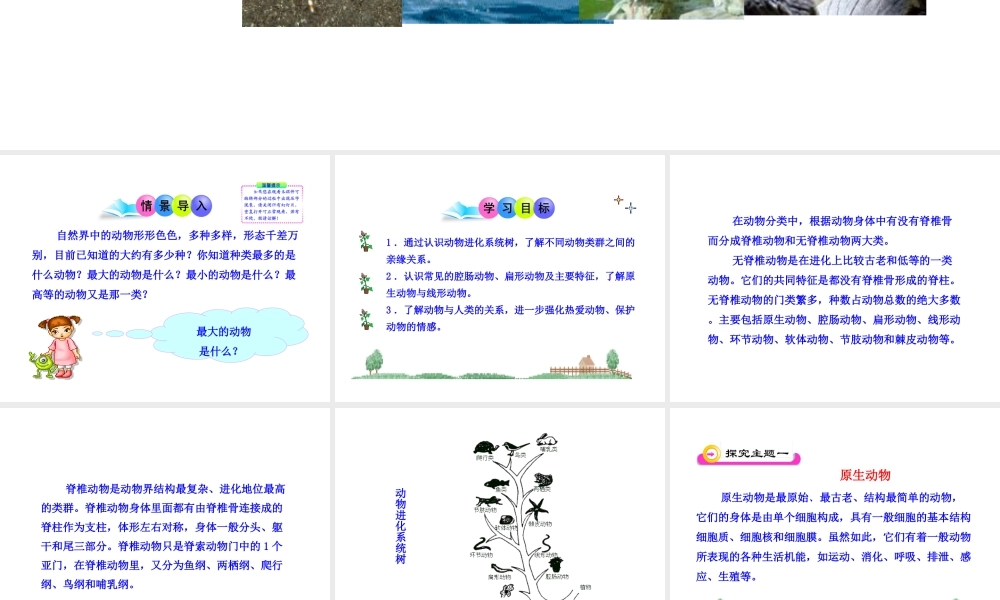 八年级生物下册 第22章 第3节 动物的主要类群（第1课时）课件 北师大版