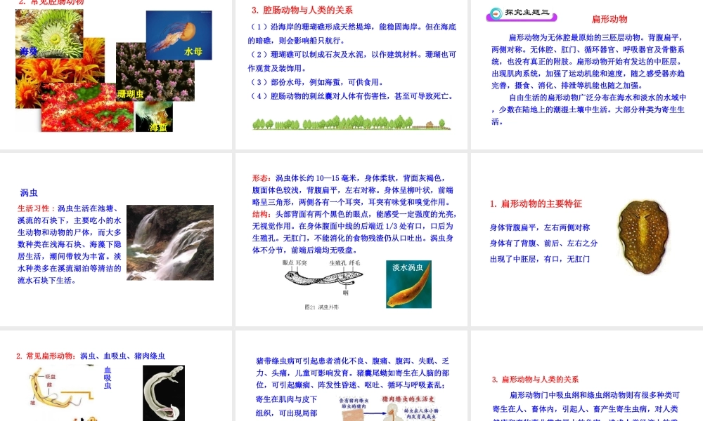 八年级生物下册 第22章 第3节 动物的主要类群（第1课时）课件 北师大版