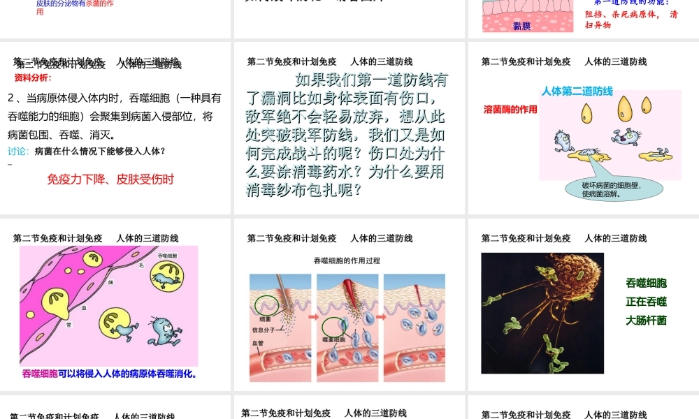 八年级生物下册 第八单元 第一章 第二节 免疫与计划免疫课件2 （新版）新人教版-（新版）新人教版初中八年级下册生物课件