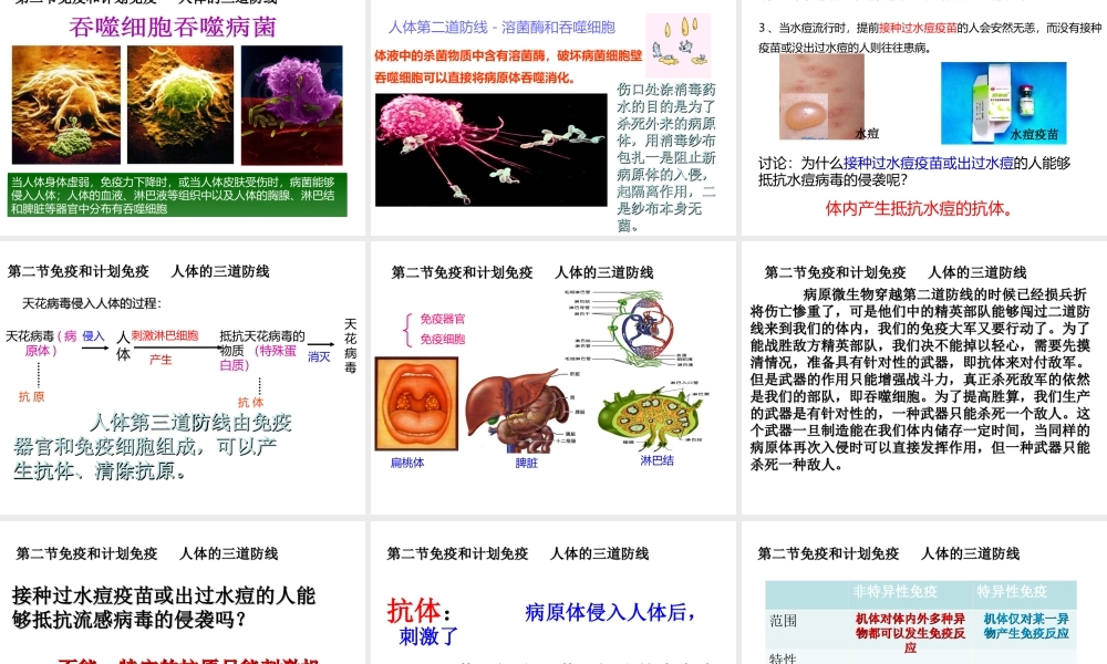 八年级生物下册 第八单元 第一章 第二节 免疫与计划免疫课件2 （新版）新人教版-（新版）新人教版初中八年级下册生物课件