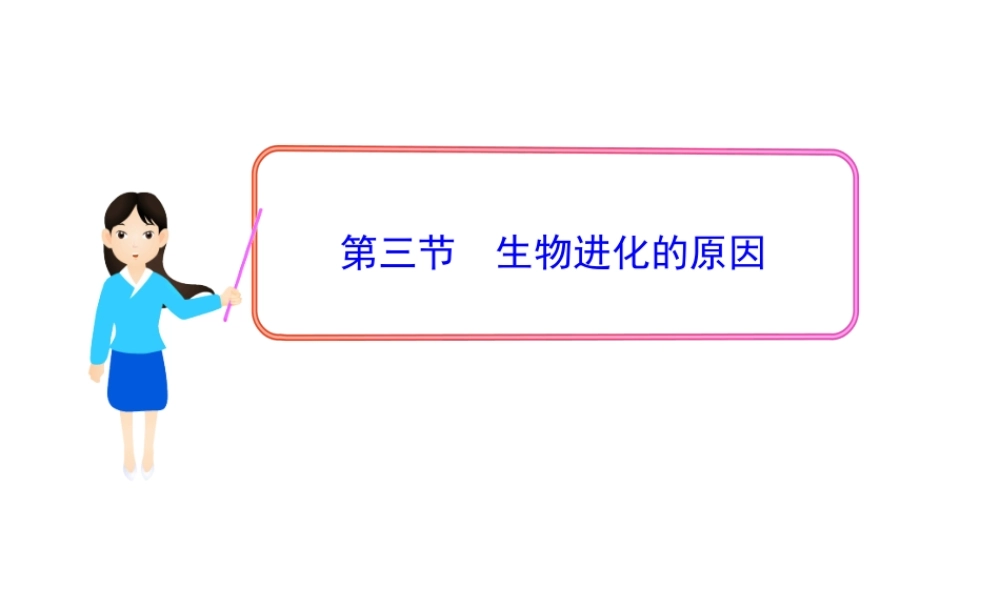 八年级生物下册 第7单元 第三章 第三节 生物进化的原因课件 新人教版