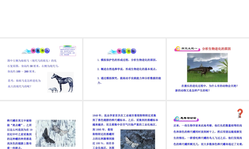 八年级生物下册 第7单元 第三章 第三节 生物进化的原因课件 新人教版