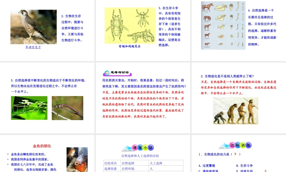 八年级生物下册 第7单元 第三章 第三节 生物进化的原因课件 新人教版