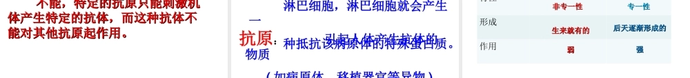 八年级生物下册 第八单元 第一章 第二节 免疫与计划免疫课件2 （新版）新人教版-（新版）新人教级下册生物课件