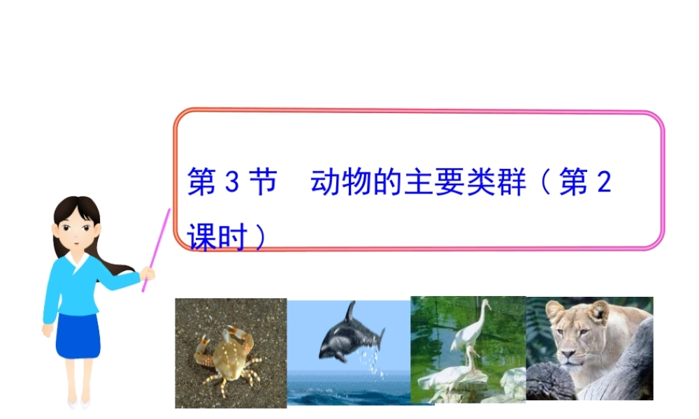 八年级生物下册 第22章 第3节 动物的主要类群（第2课时）课件 北师大版