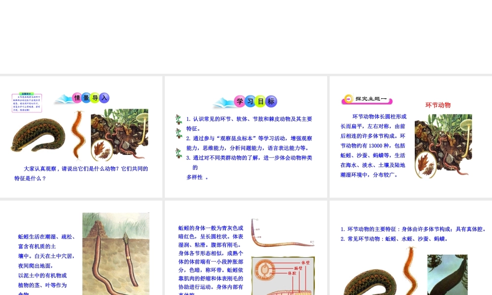 八年级生物下册 第22章 第3节 动物的主要类群（第2课时）课件 北师大版