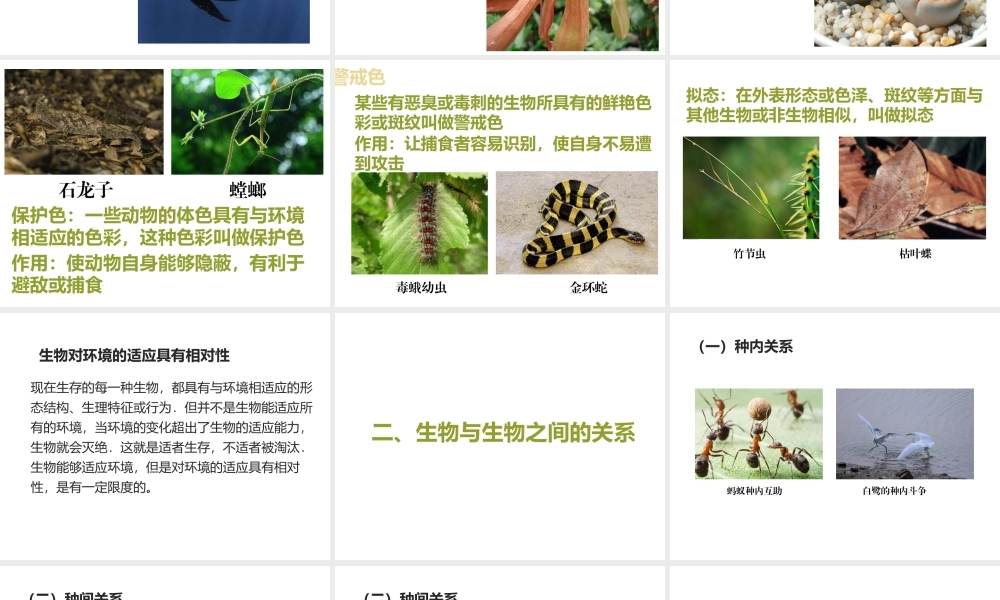 八年级生物下册 第5章 生态系统 5.1 生物与环境课件 沪教版-沪教版初中八年级下册生物课件