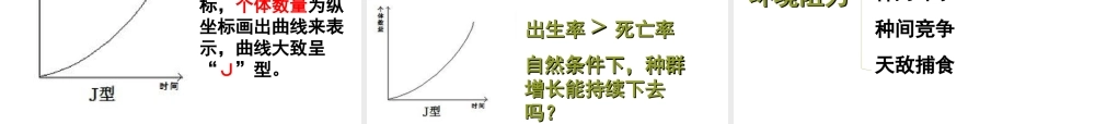 八年级生物下册 第5章 生态系统 5.1 生物与环境课件 沪教版-沪教版初中八年级下册生物课件