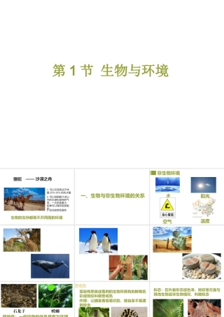 八年级生物下册 第5章 生态系统 5.1 生物与环境课件 沪教版-沪教版初中八年级下册生物课件