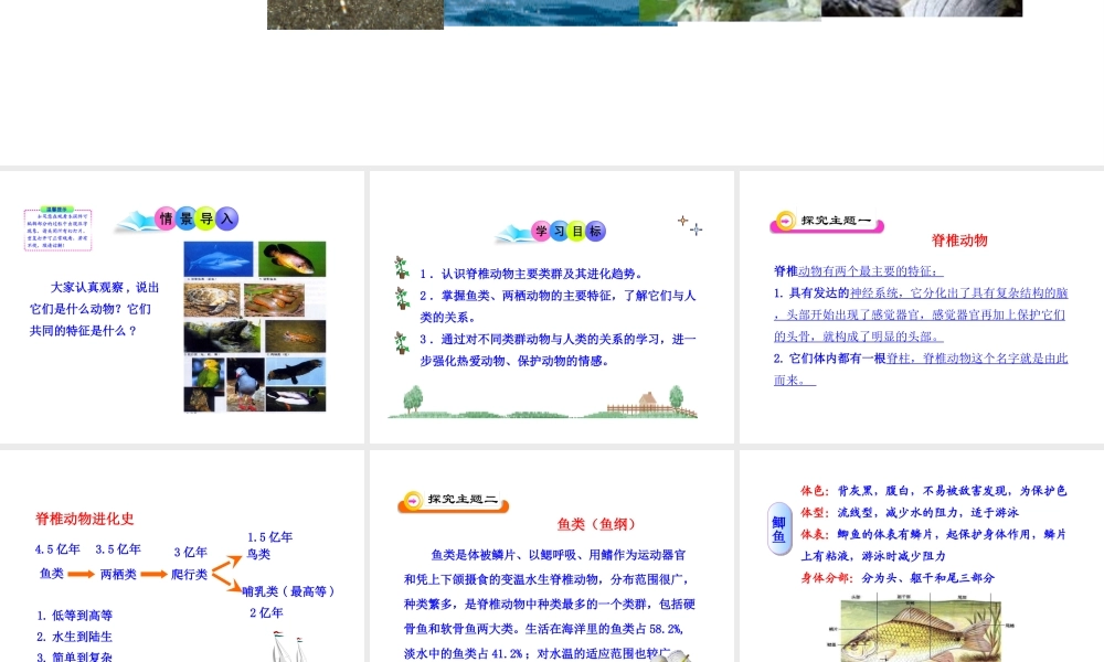 八年级生物下册 第22章 第3节 动物的主要类群（第3课时）课件 北师大版