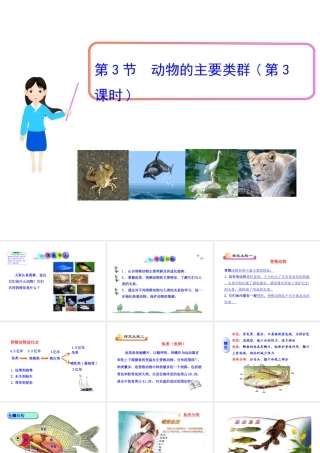 八年级生物下册 第22章 第3节 动物的主要类群（第3课时）课件 北师大版