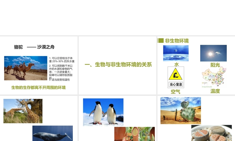 八年级生物下册 第5章 生态系统 5.1 生物与环境课件 沪教版-沪教级下册生物课件