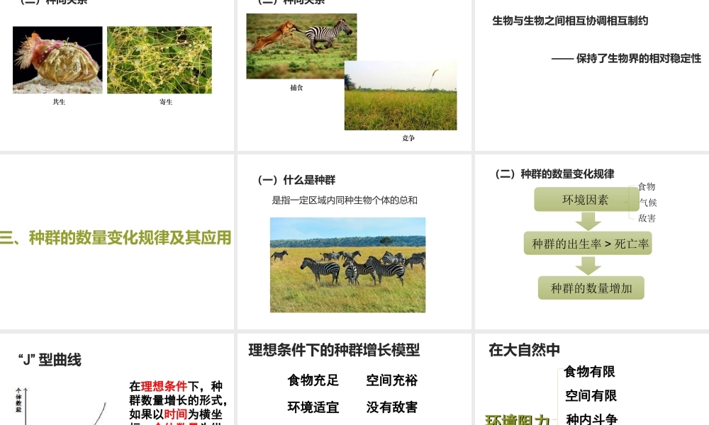 八年级生物下册 第5章 生态系统 5.1 生物与环境课件 沪教版-沪教级下册生物课件