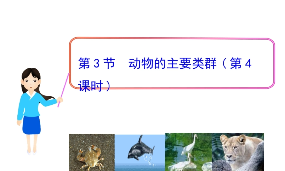 八年级生物下册 第22章 第3节 动物的主要类群（第4课时）课件 北师大版