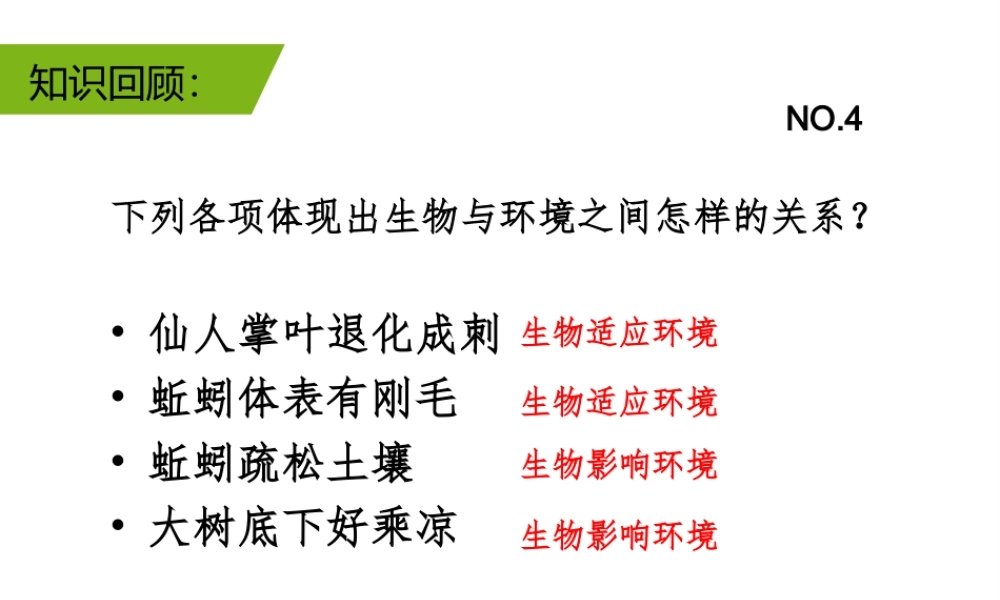 八年级生物下册 第5章 生态系统 5.2 生态系统的结构与组成课件 沪教版-沪教版初中八年级下册生物课件