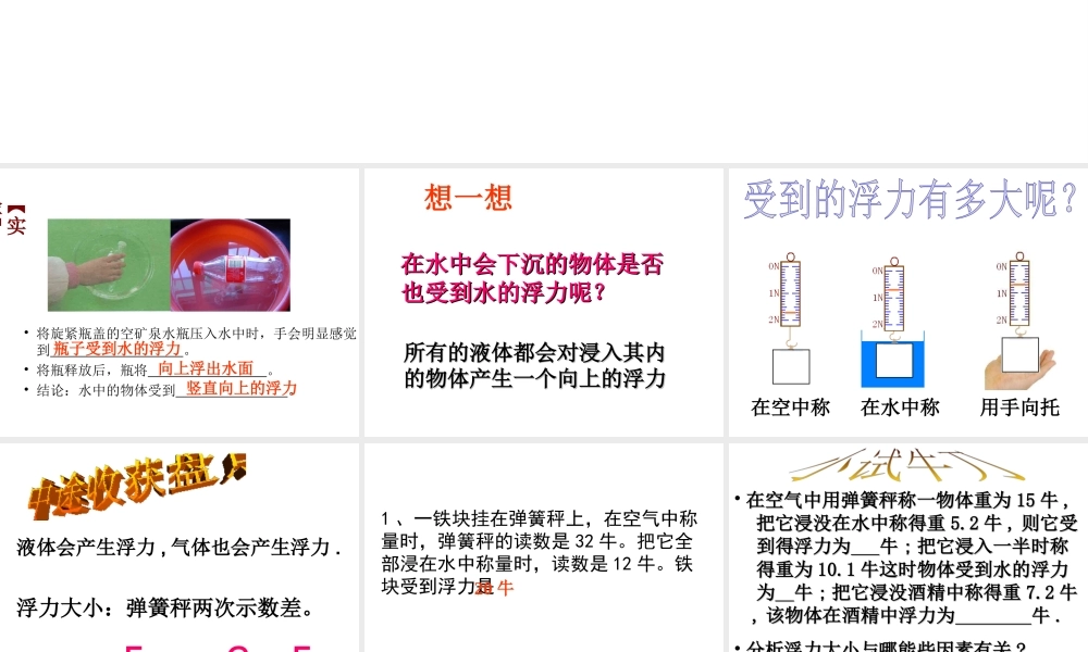 八年级科学上册 1.3 水的浮力课件 浙教版