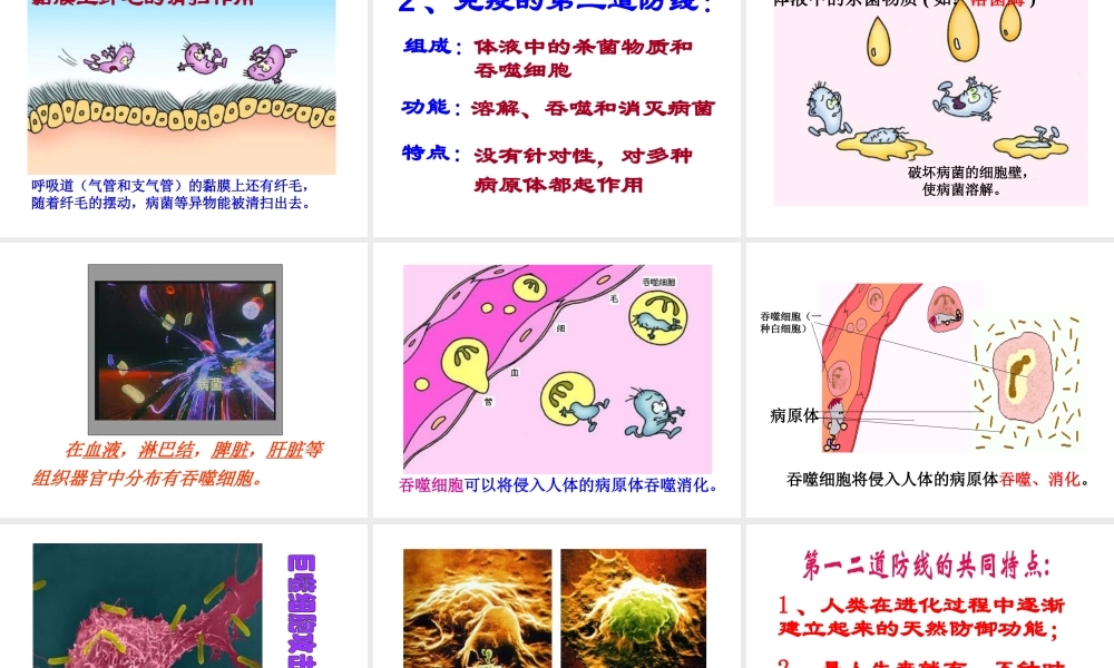 八年级生物下册 第八单元 第一章 第二节 免疫与计划免疫课件4 新人教版