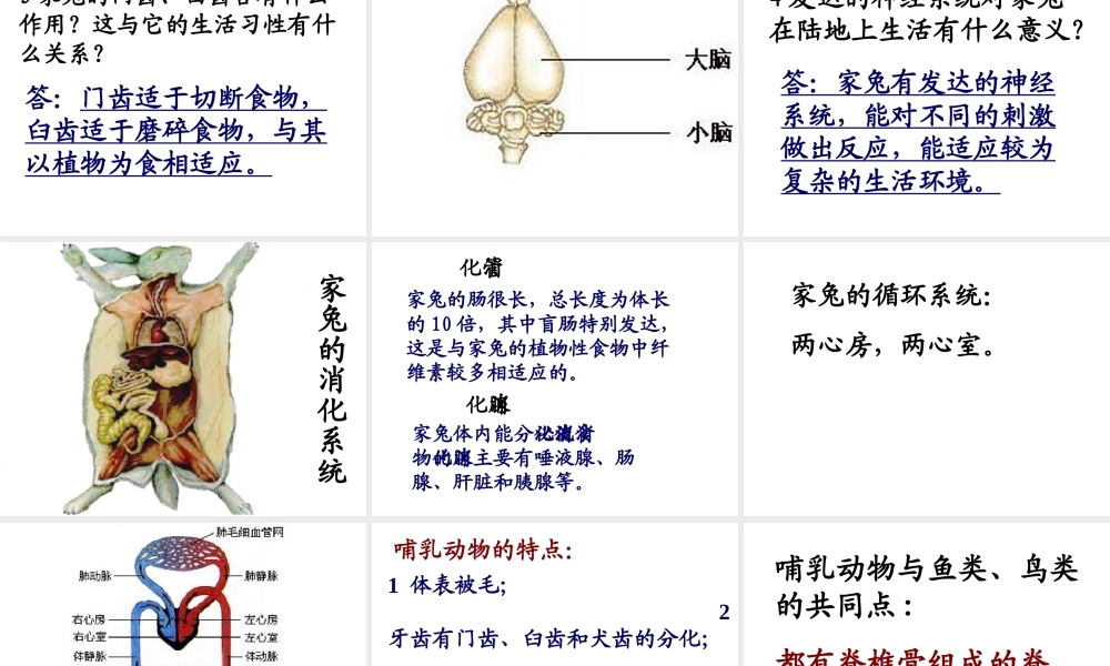 八年级生物下册 第22章 第3节 动物的主要类群课件 北师大版-北师大级下册生物课件