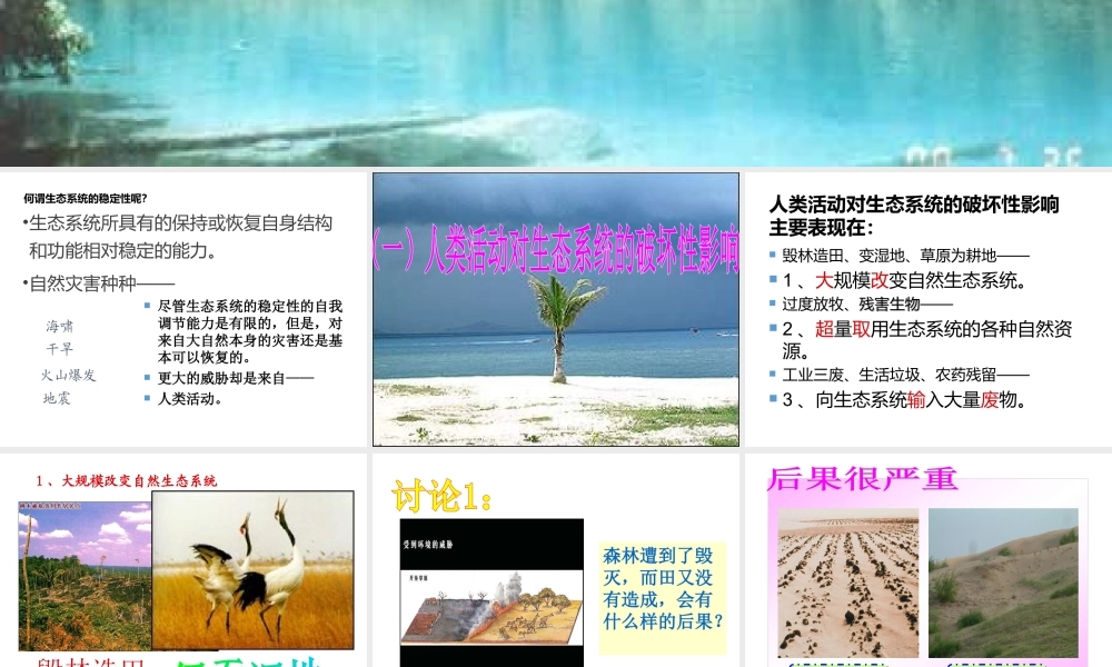 八年级生物下册 第5章 生态系统 5.3 生态系统的稳定性—人类活动对生态系统稳定性的影响课件 沪教版-沪教版初中八年级下册生物课件