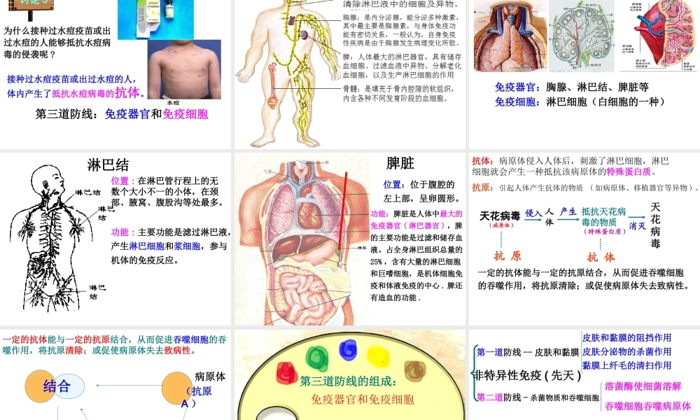 八年级生物下册 第8单元 第1章 第2节 免疫与计划免疫课件 （新版）新人教版-（新版）新人教版初中八年级下册生物课件