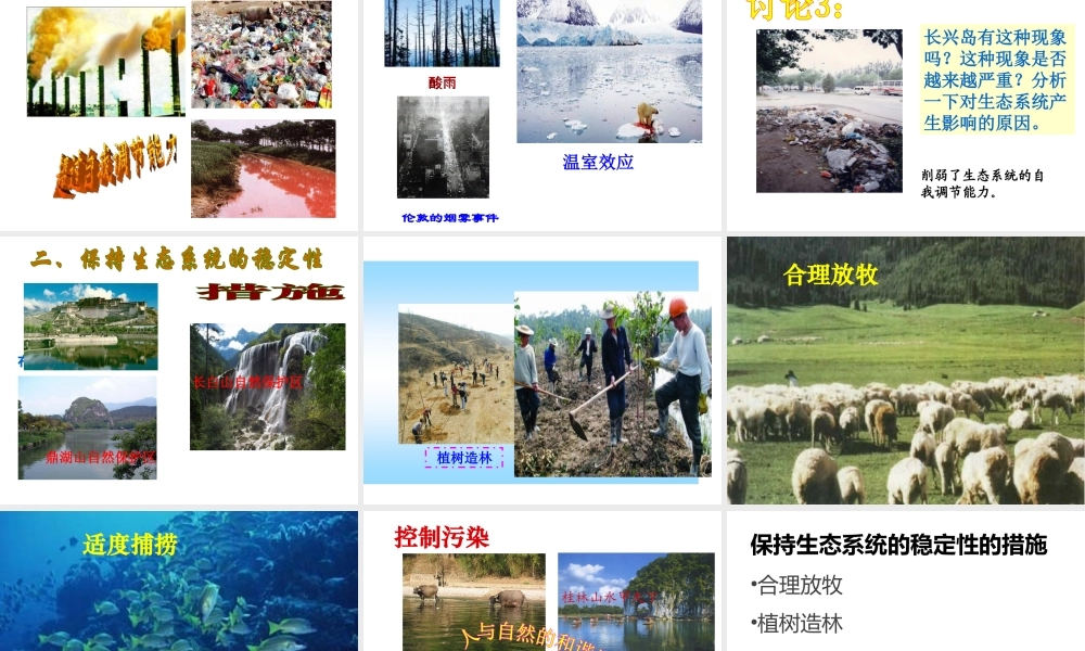 八年级生物下册 第5章 生态系统 5.3 生态系统的稳定性-人类活动对生态系统稳定性的影响课件 沪教版-沪教级下册生物课件