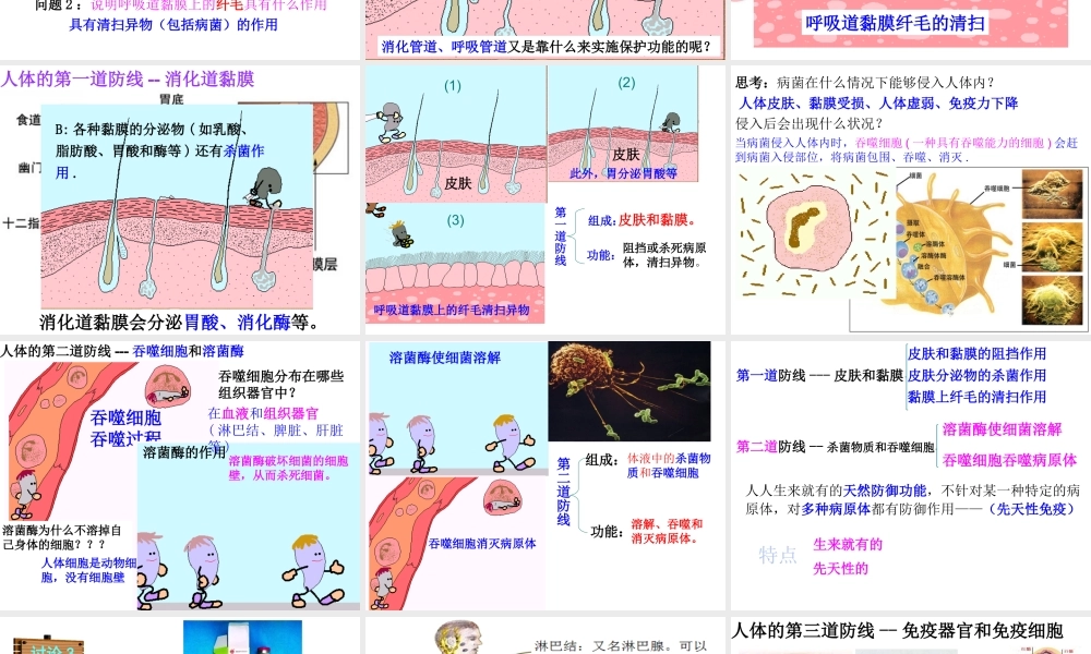 八年级生物下册 第8单元 第1章 第2节 免疫与计划免疫课件 （新版）新人教版-（新版）新人教级下册生物课件