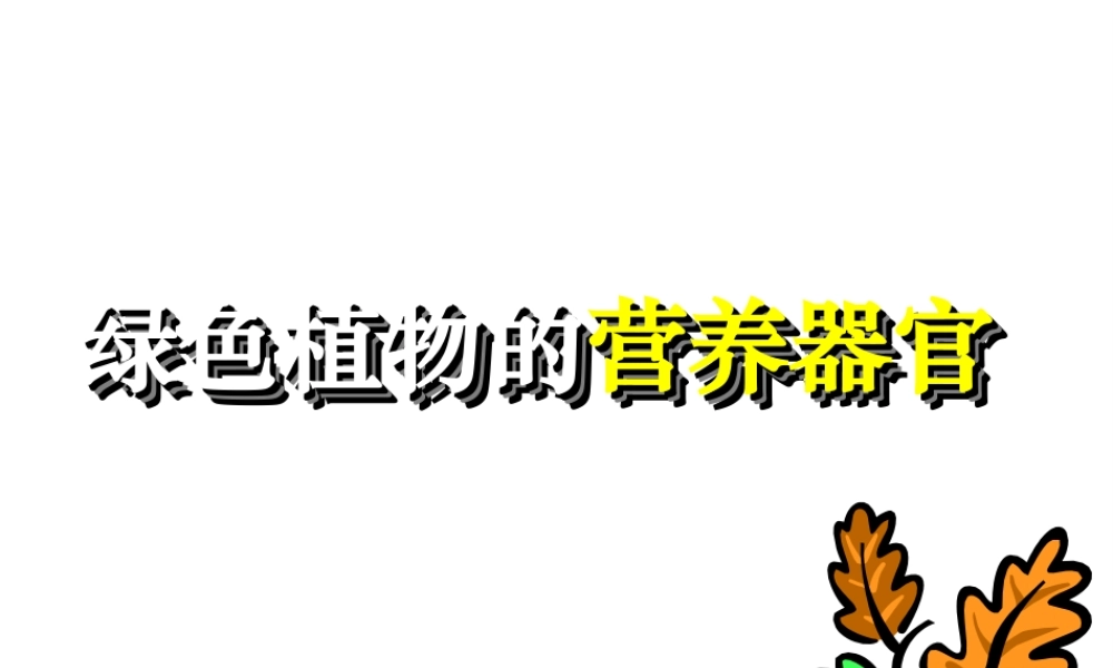 八年级科学上册 6.1根课件 华东师大版