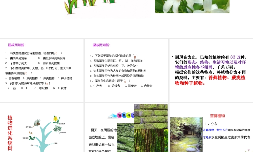 八年级生物下册 第22章 第3节 植物的主要类群课件 （新版）北师大版-（新版）北师大版初中八年级下册生物课件