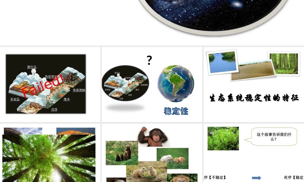 八年级生物下册 第5章 生态系统 5.3 生态系统的稳定性-生态系统稳定性的特征课件 沪教版-沪教级下册生物课件