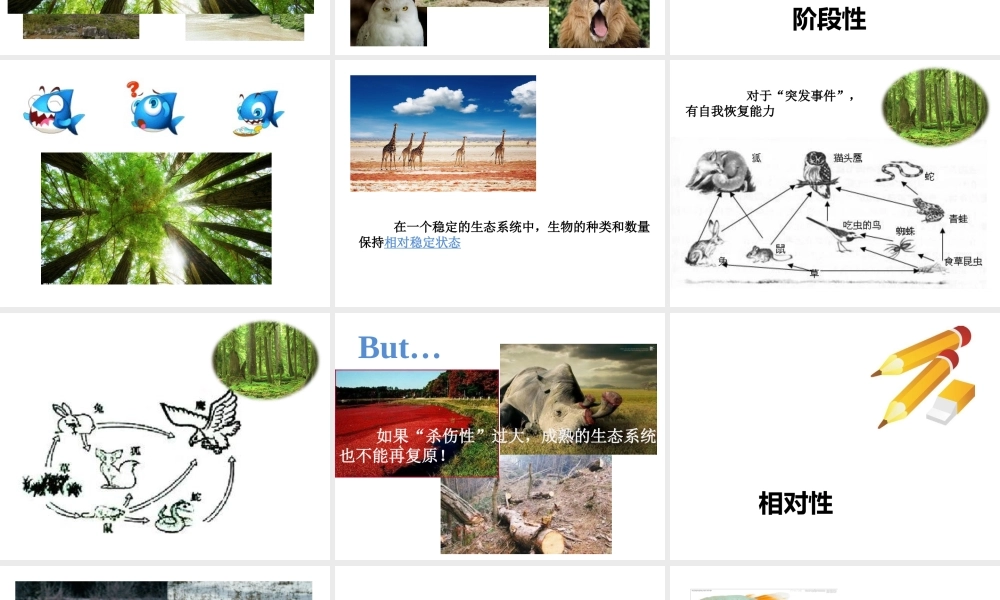 八年级生物下册 第5章 生态系统 5.3 生态系统的稳定性-生态系统稳定性的特征课件 沪教版-沪教级下册生物课件