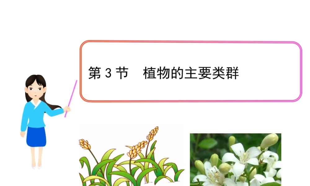 八年级生物下册 第22章 第3节 植物的主要类群课件 （新版）北师大版-（新版）北师大级下册生物课件