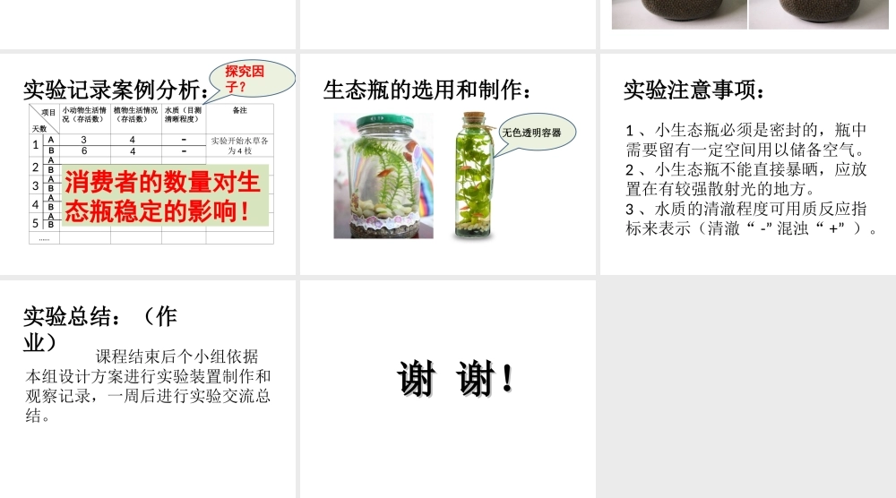 八年级生物下册 第5章 生态系统 5.3 生态系统的稳定性—探究某一因子改变对生态瓶的影响课件 沪教版-沪教版初中八年级下册生物课件